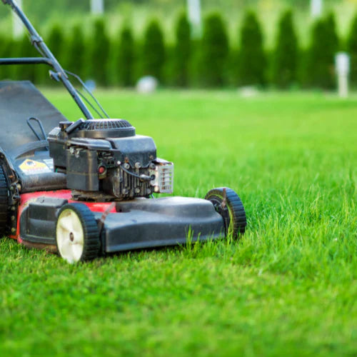 A close-up of a lawn mower cutting grass.