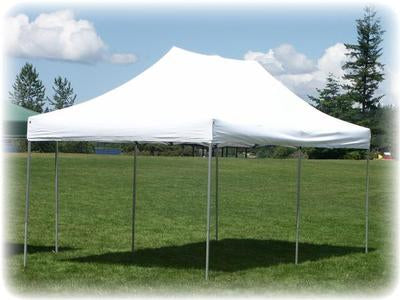 10' x 20' Canopy