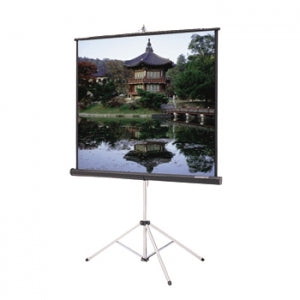 Projection Screen 44 x 52