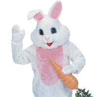 Easter Bunny Costume