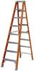 12' Step Ladder