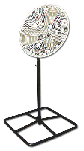 Fan 24 Pedestal Oscillating