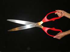 Ceremonial Scissors