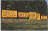 Sign - 3' x 6' Unlighted